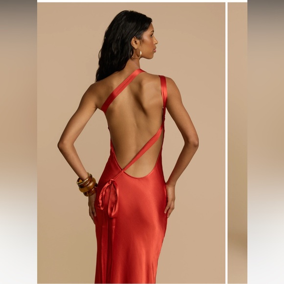 NWT Arcina Ori Monique Dress in Rust red - Picture 3 of 14